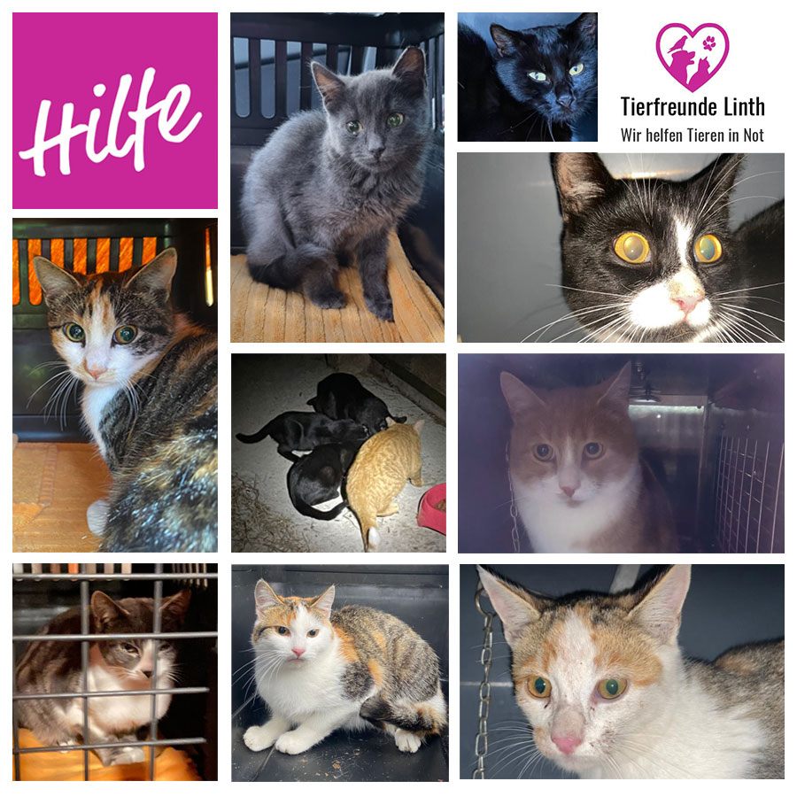 Tierschutz Linthgebiet