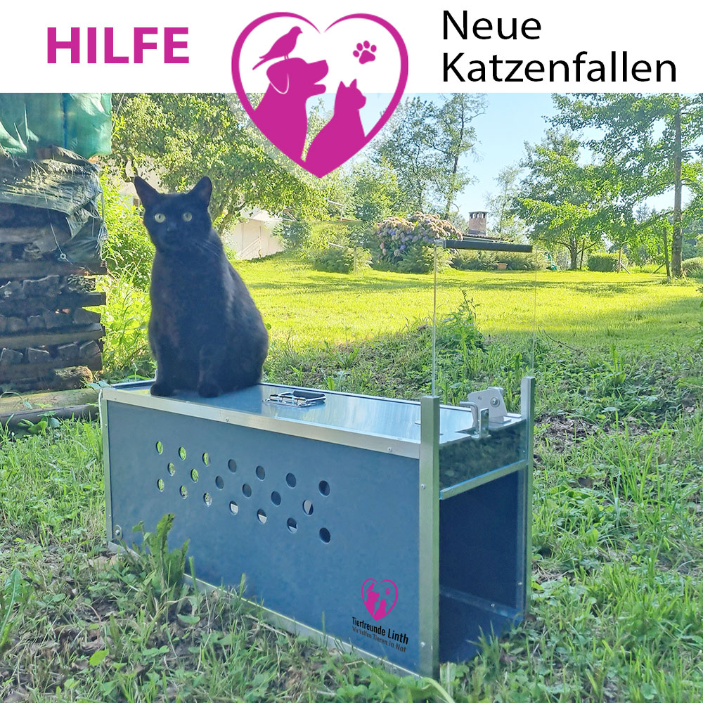Katzenfallen Schweiz