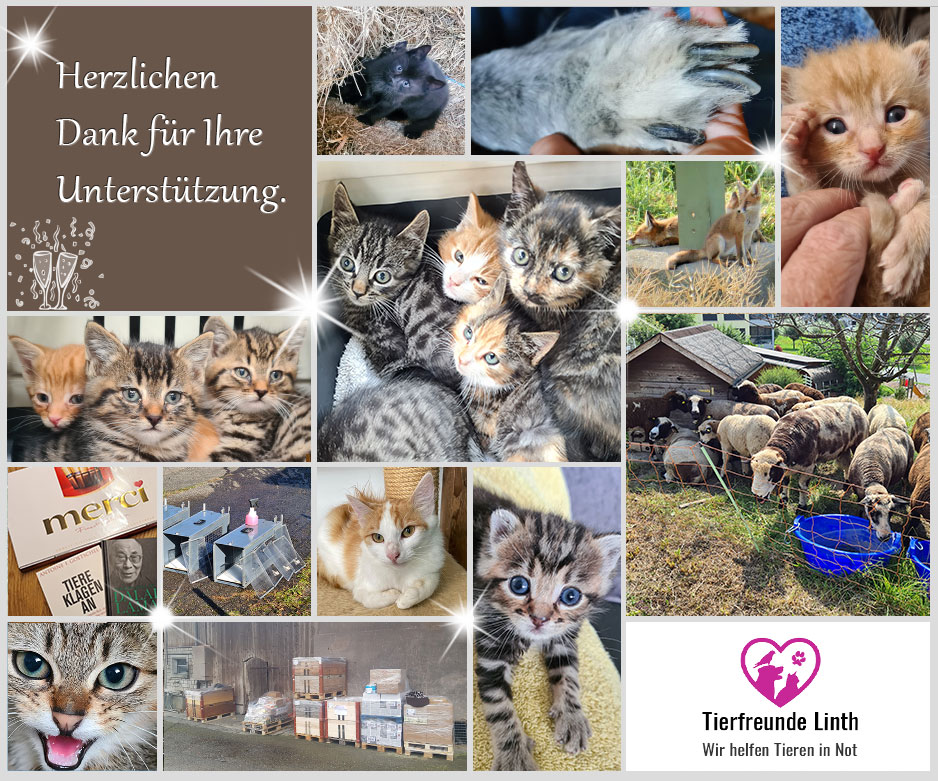 Tierschutz Linthgebiet 2020