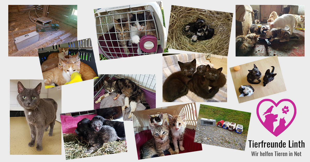 Tierschutz im Linthgebiet