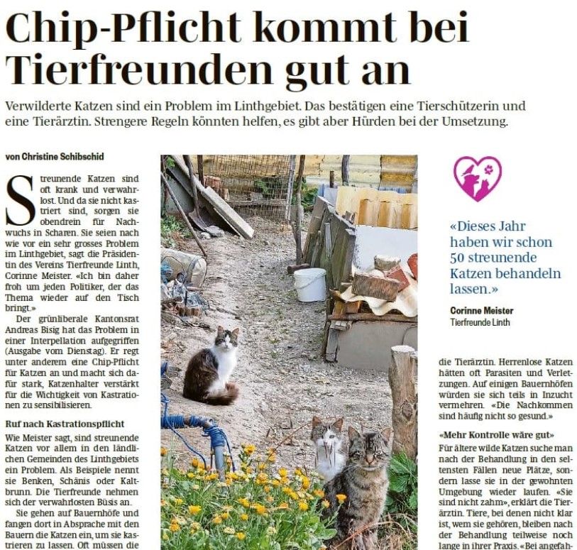 Chip-Pflicht für freilebende Katzen